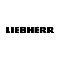 cilindru hidraulic Liebherr 10041694 pentru excavator